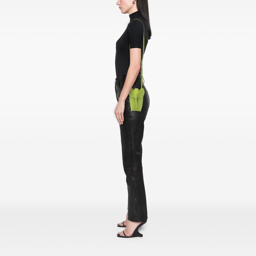 Loewe Crossbody Bag