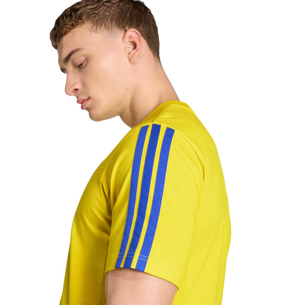 Sverige DNA T-shirt