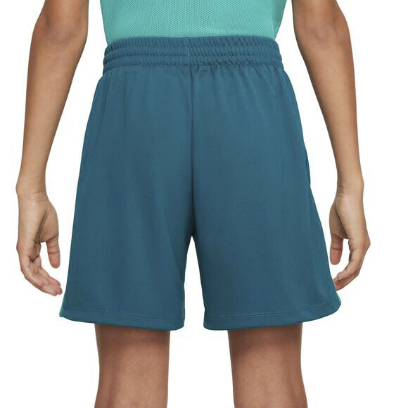 Dri-FIT Multi shorts