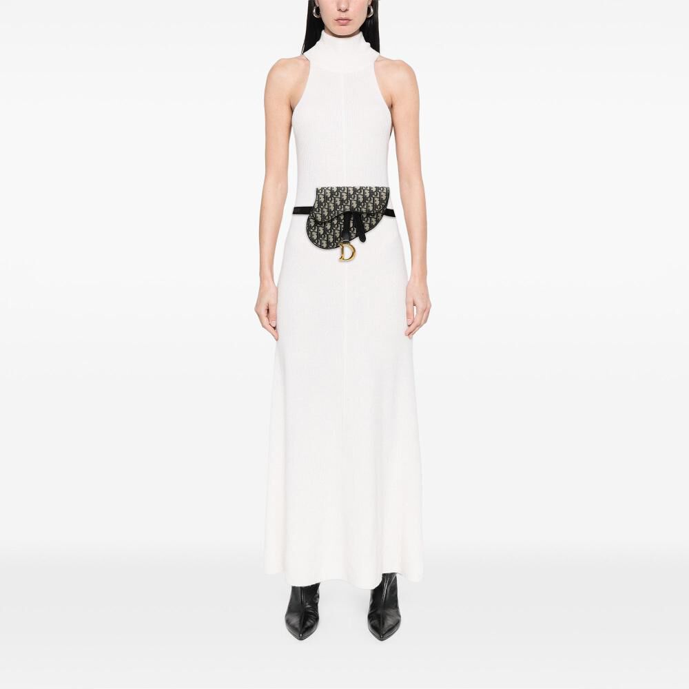 Dior Belt Bag