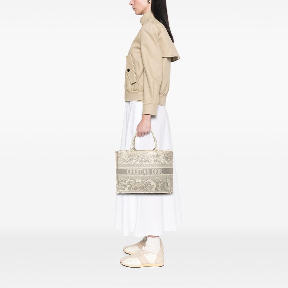 Dior Book Tote