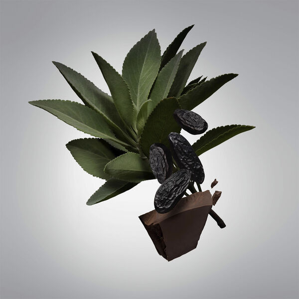 CAROLINA HERRERA Bad Boy Deodorant stick 75 GR