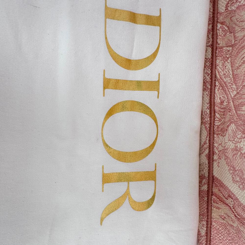 Dior Book Tote