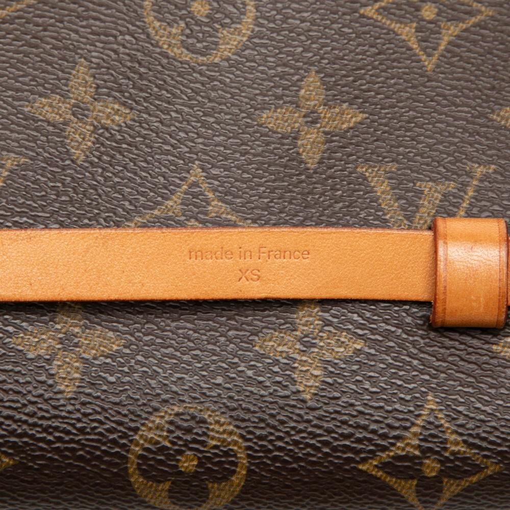 Louis Vuitton Florentine Pochette