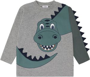HCAnton Dino