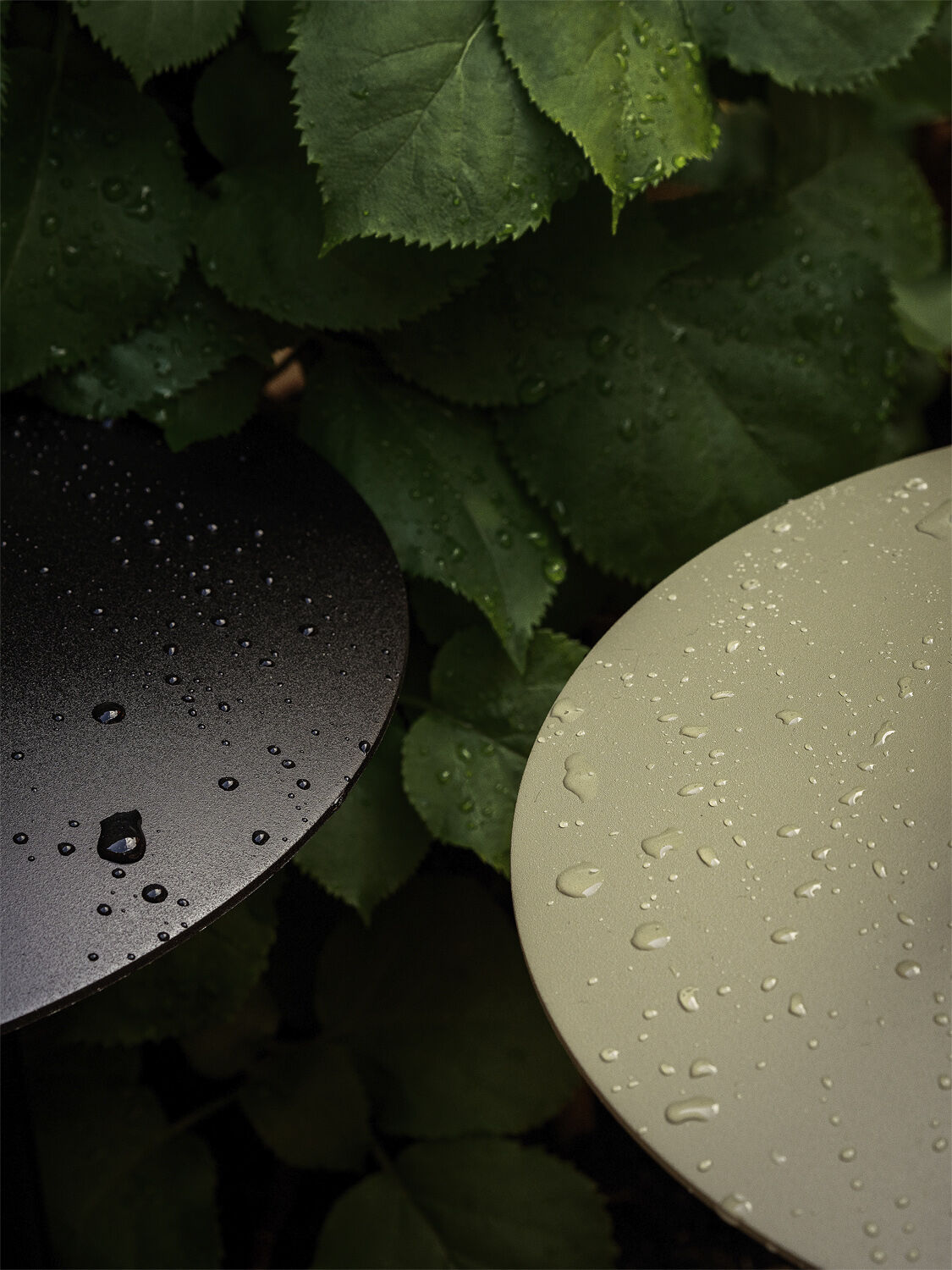 Ray Table Lamp Portable