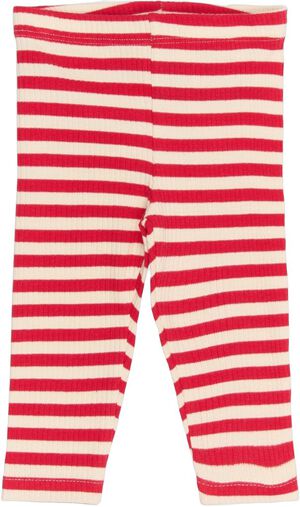 TNSBFro Rib Leggings