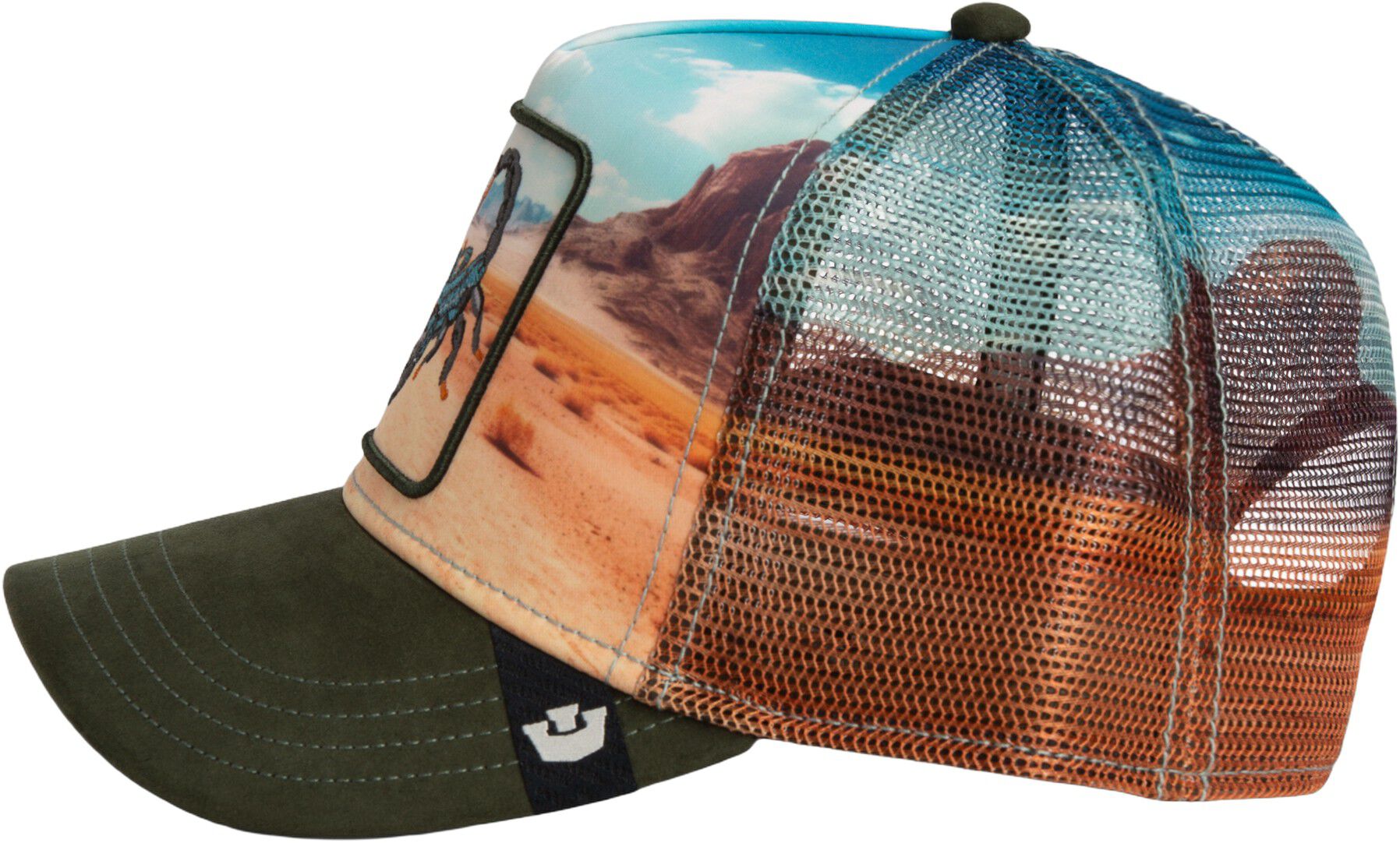 Scorpion in the Element