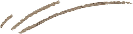 Micro Brow Pen