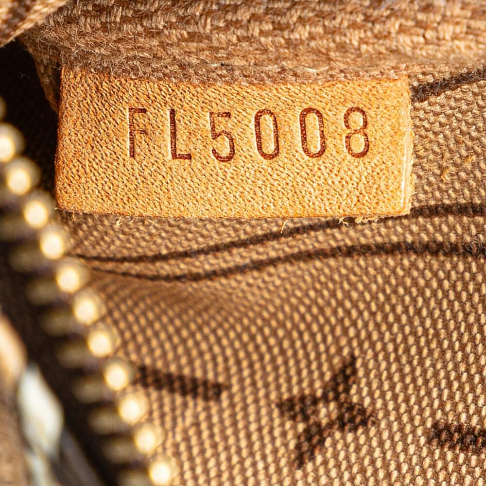 Louis Vuitton Pochette Accessoires