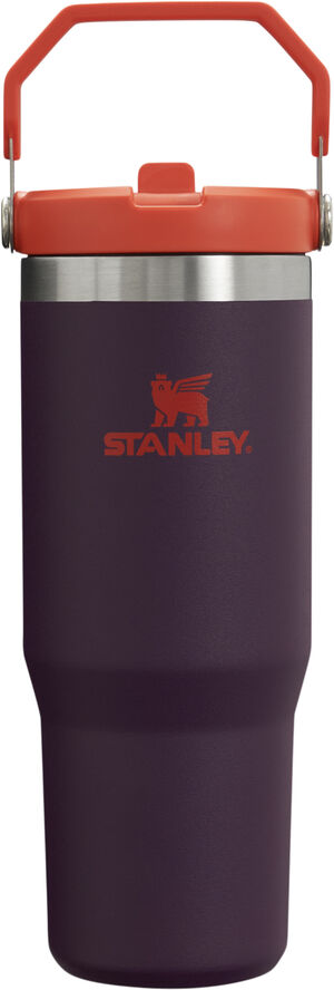 IceFlow Flip Straw Tumbler 0.89L