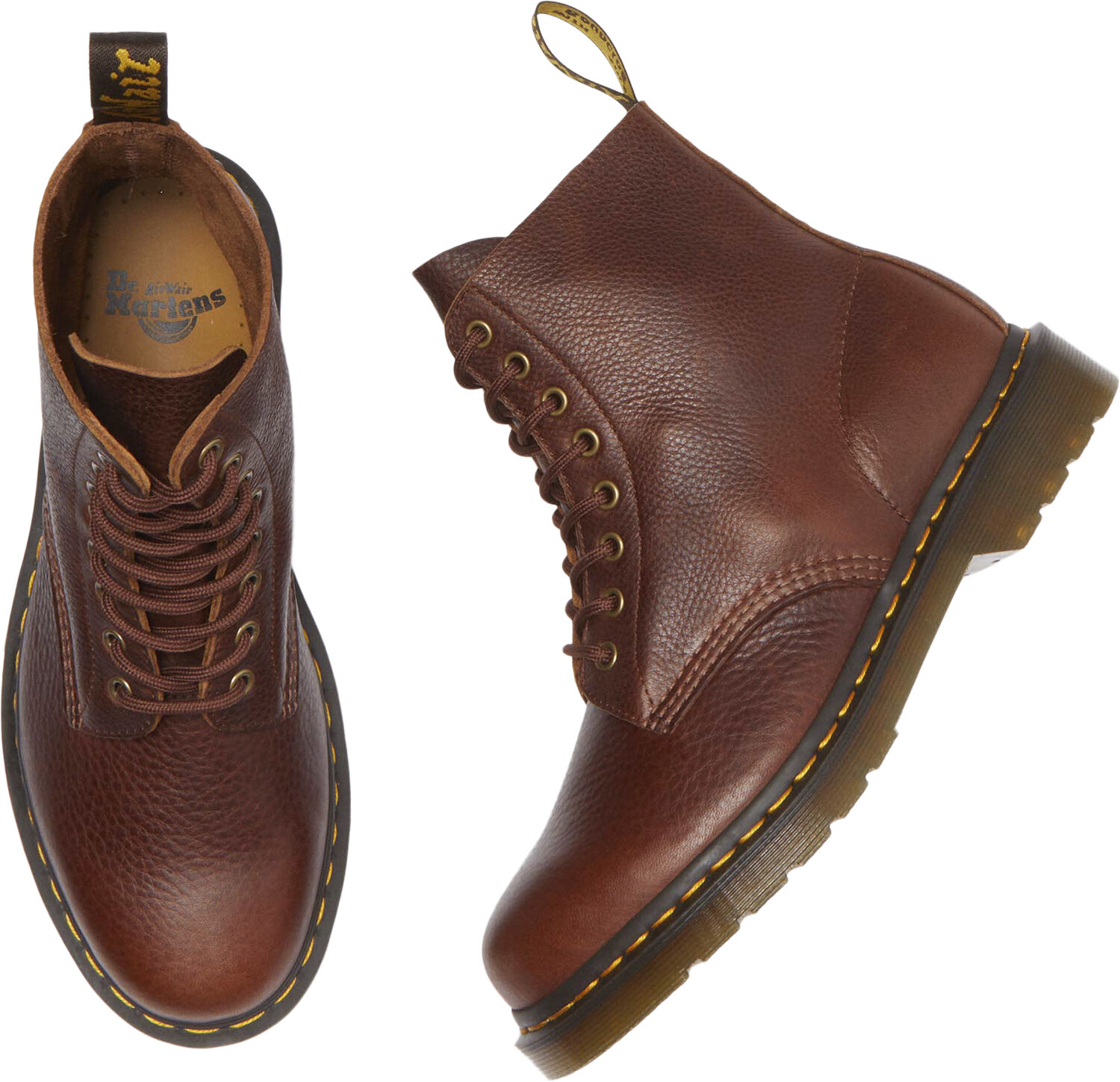 1460 Pascal Cashew Ambassador