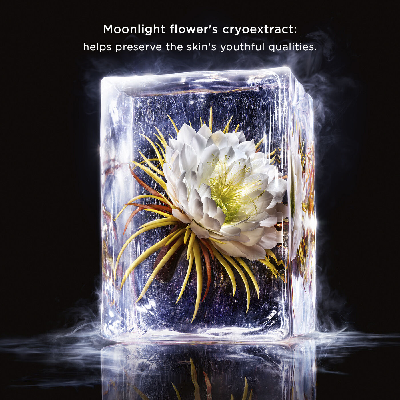 Precious La Cr&egrave;me Riche Age-Defying Moisturiser