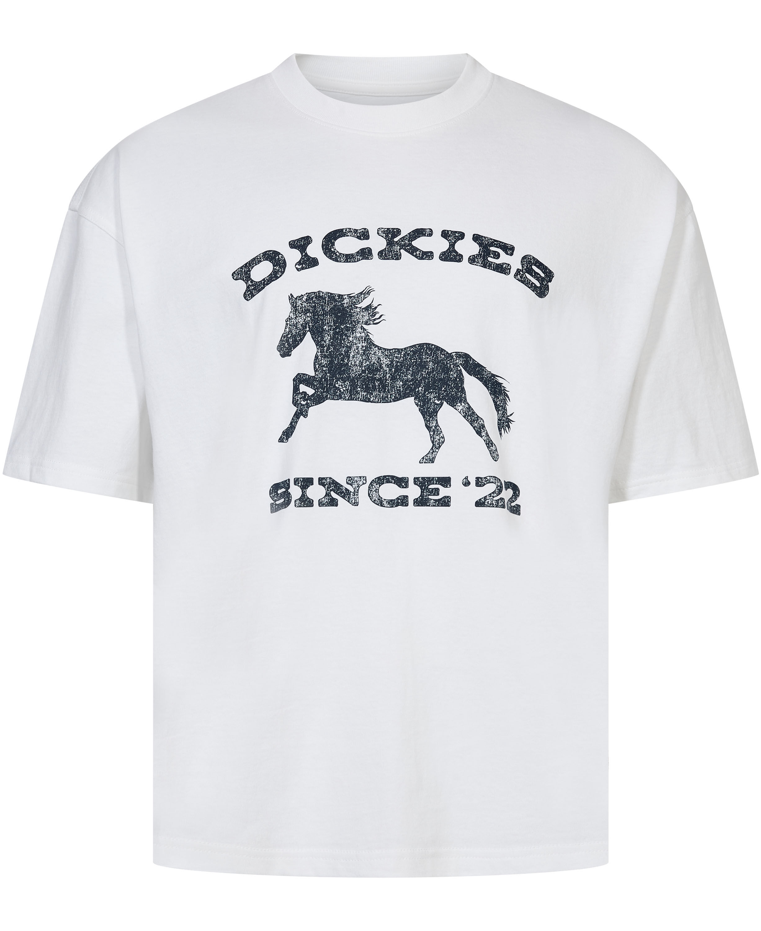 OWYHEE SS TEE