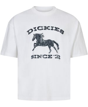 OWYHEE SS TEE