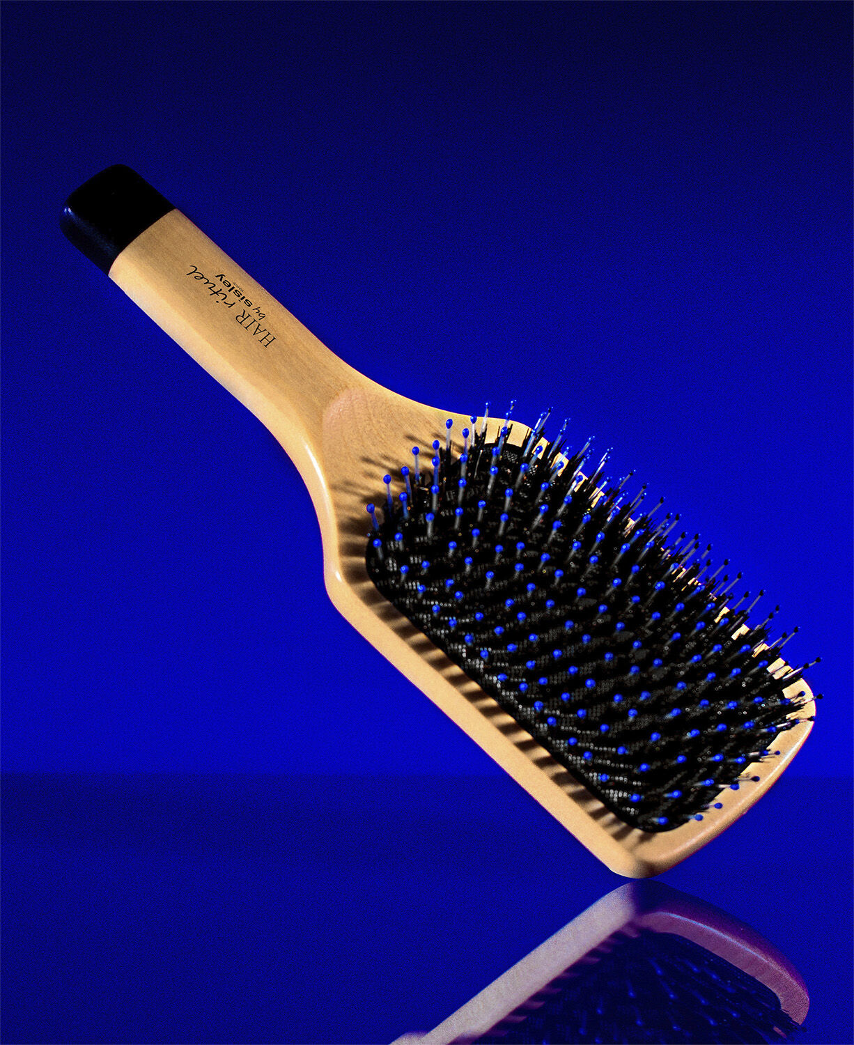 Hair Rituel by Sisley The Brush