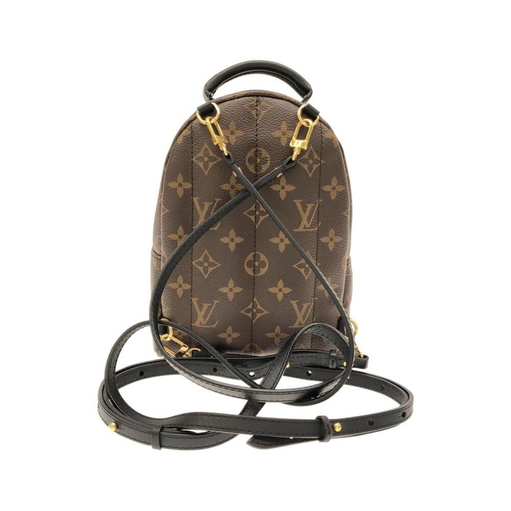 Louis Vuitton Palm Springs