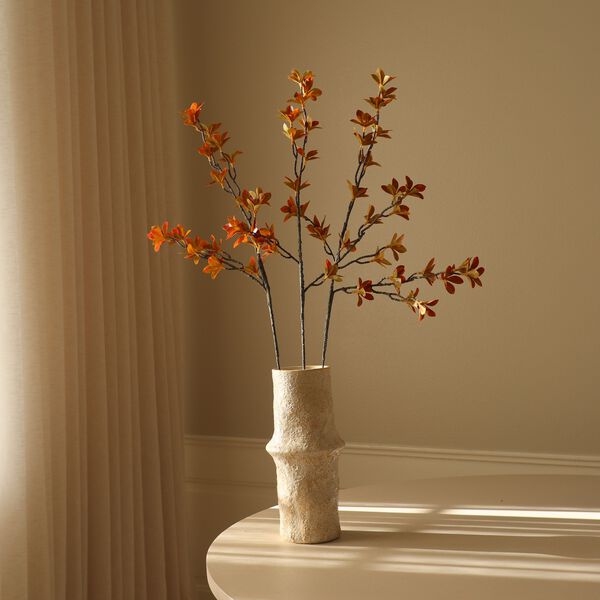 Enkianthus Perulatus Leaves