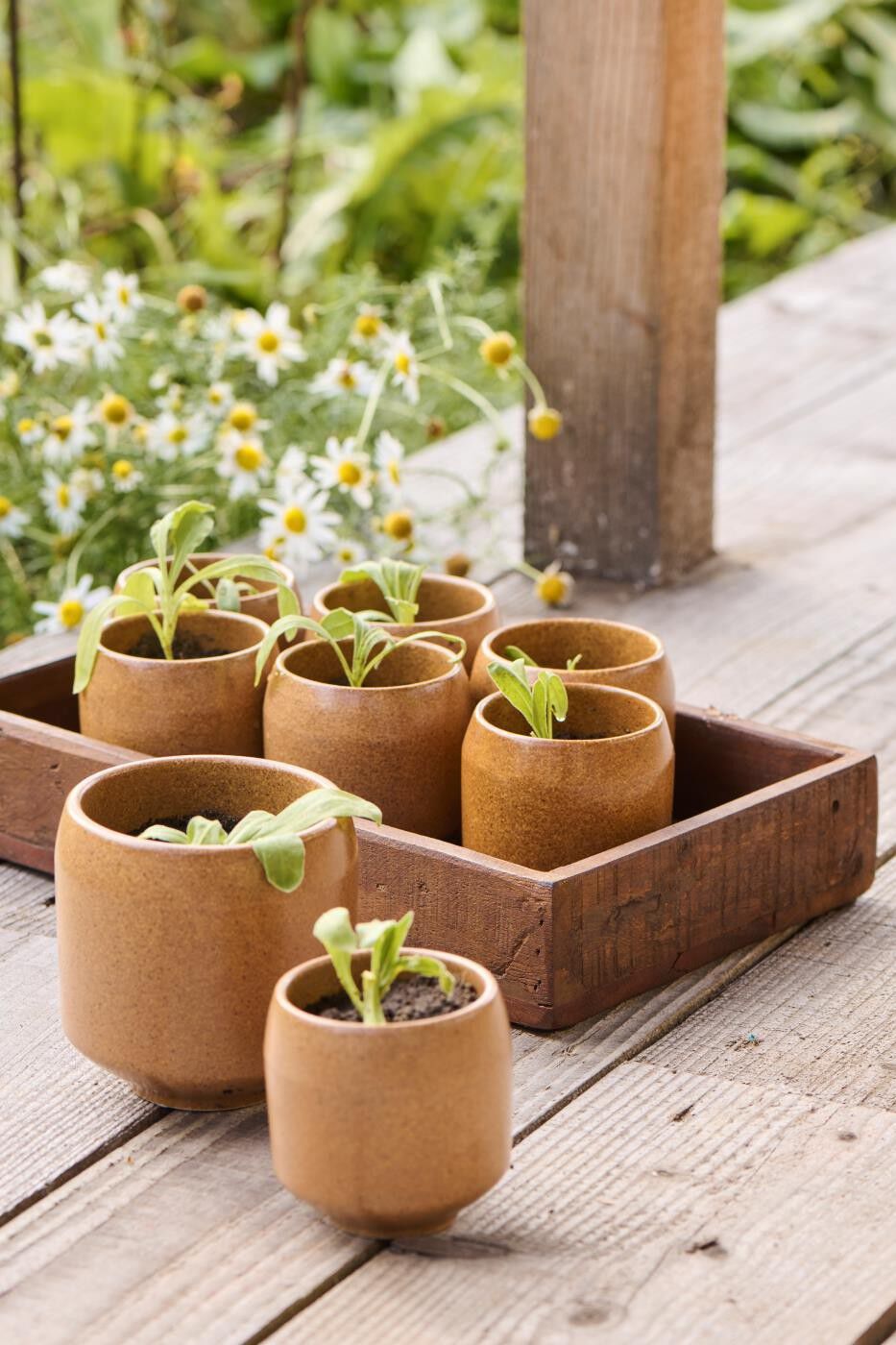 Skjuler m/fod Saga brun