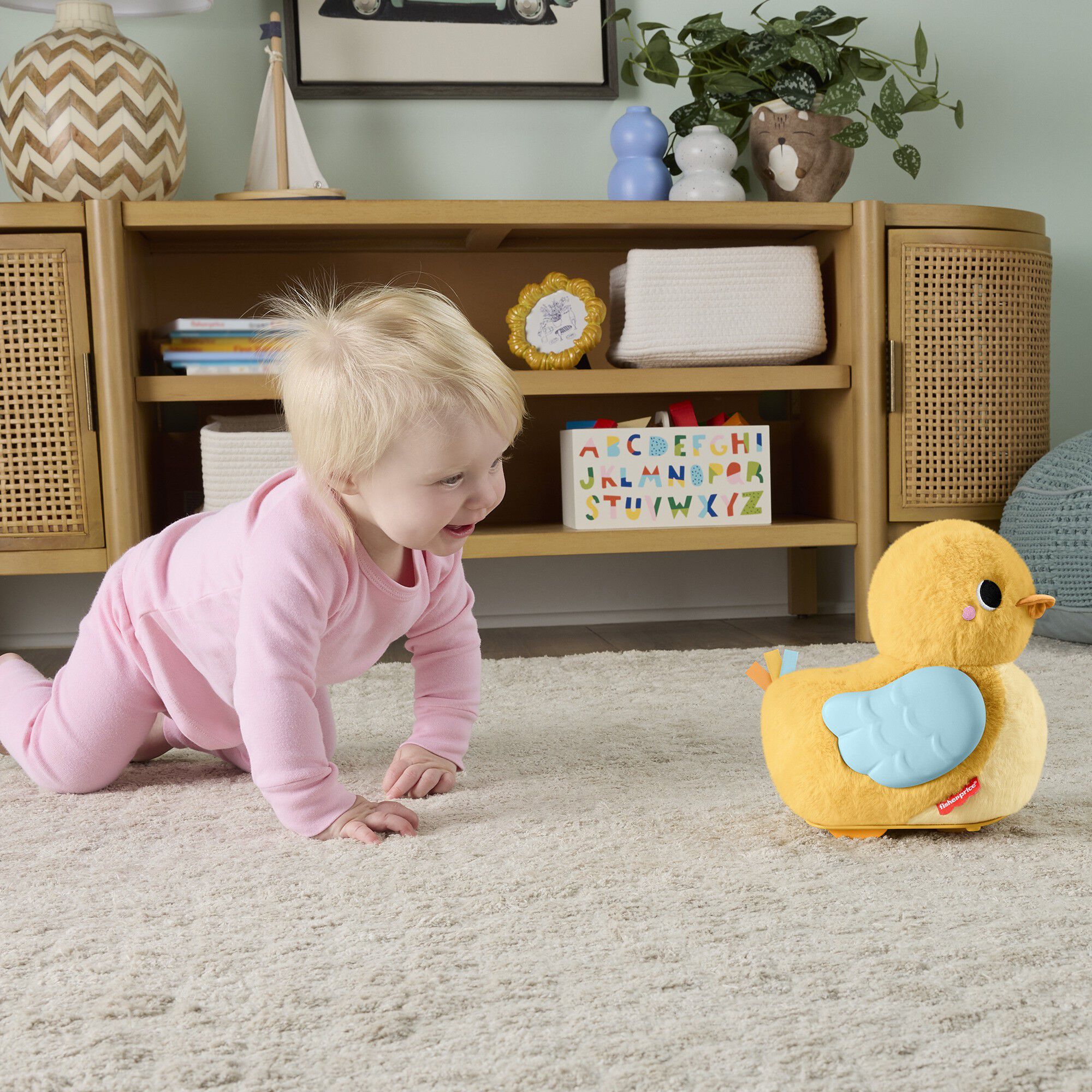 Fisher-Price Flap & Follo