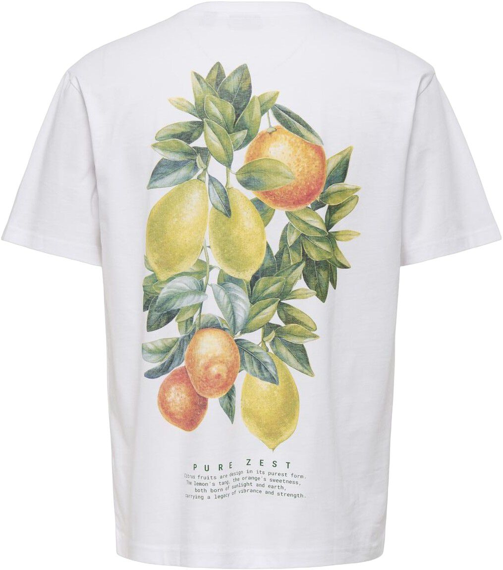 OSJAXEL DORADO LIFE RLX SS TEE