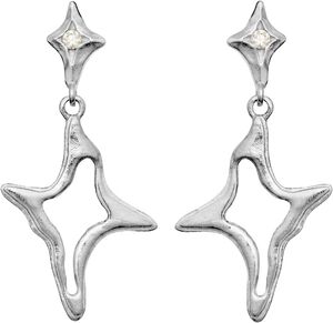Roxy Earrings