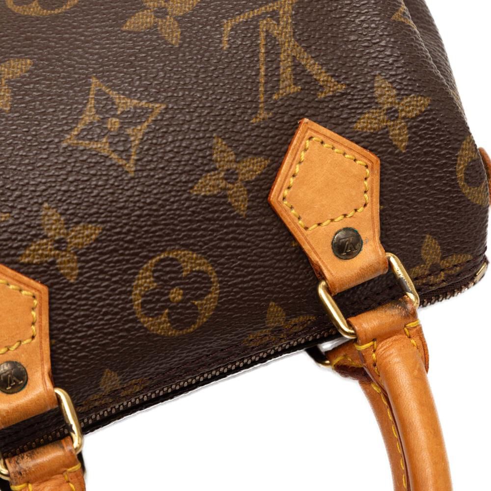 Louis Vuitton Speedy
