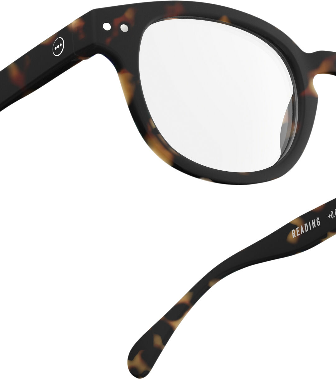 READING #C Tortoise Soft