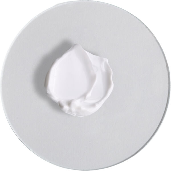 Hydramemory Rich Sorbet Cream