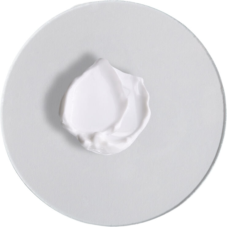 Hydramemory Rich Sorbet Cream