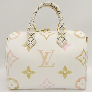 Louis Vuitton Speedy