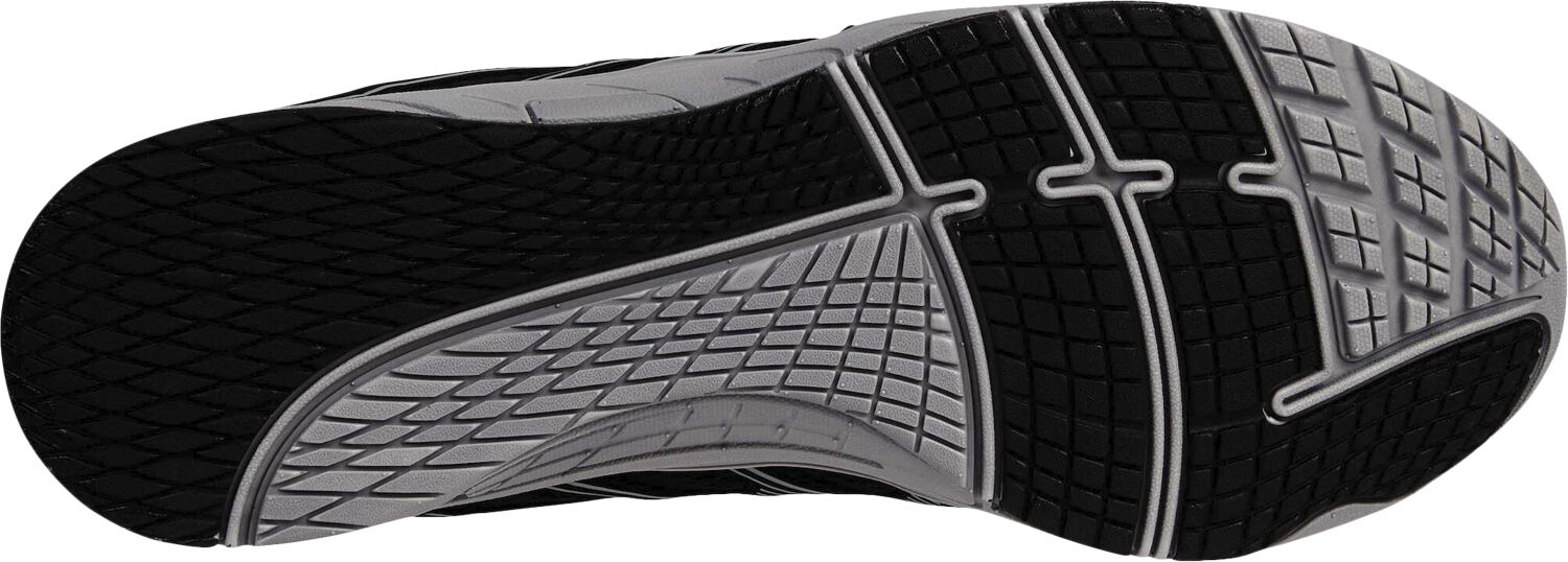 Amphibio II vandresko