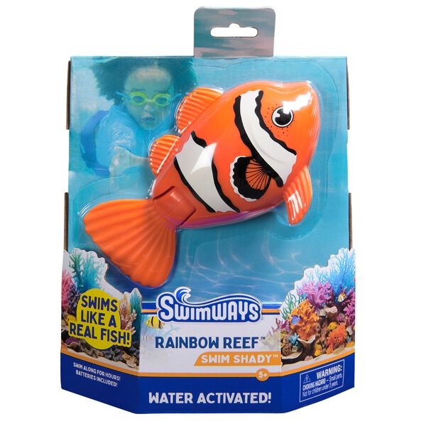 Rainbow Reef Fish - Clown