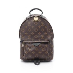 Louis Vuitton Backpack