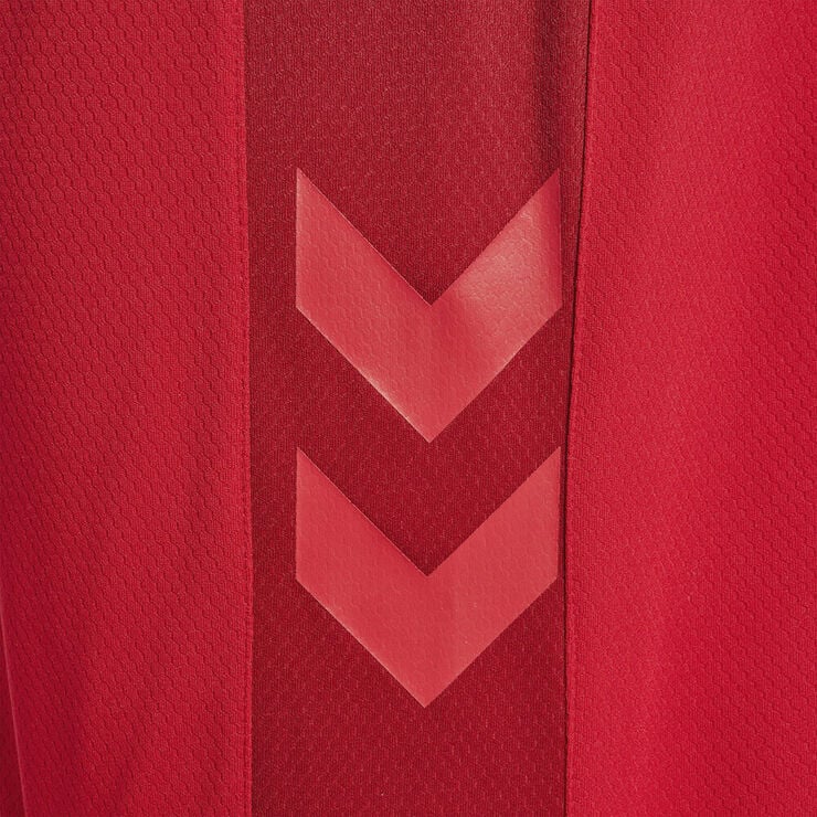 DBU Danmark hjemmebaneshorts 22 Voksen