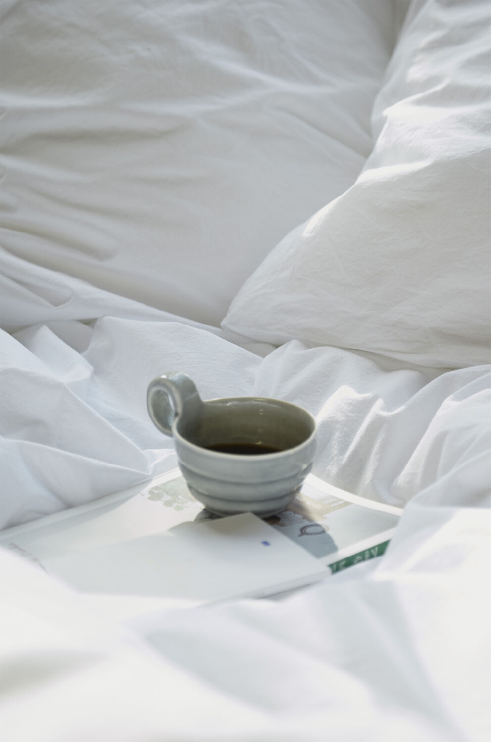 Fossflakes Dyne, Winter