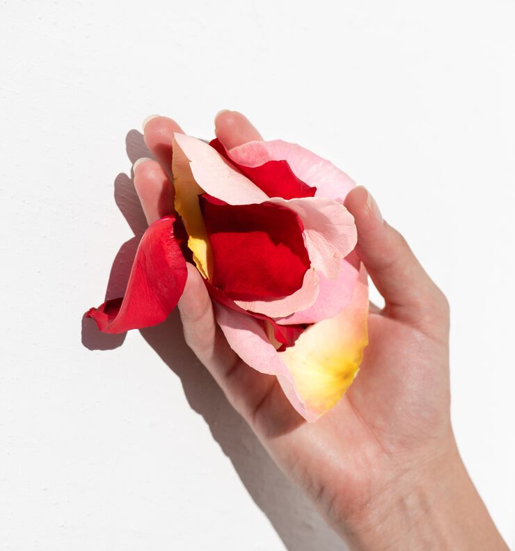 Apothecary Wild Rose Brighter Days Intense-Cream