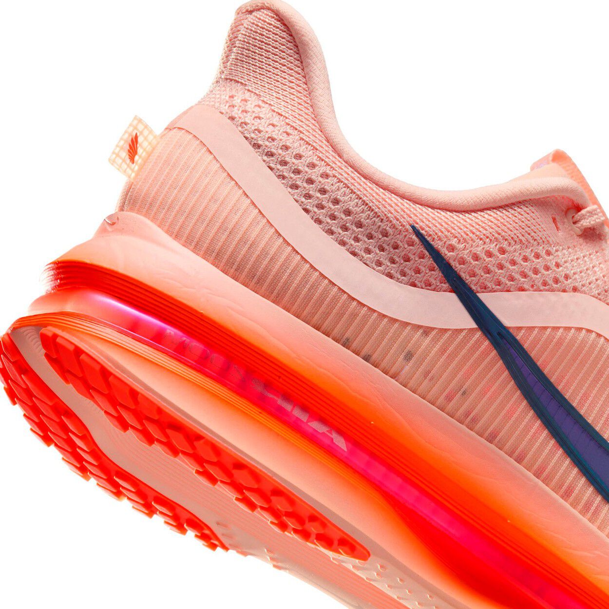 Pegasus Premium L&oslash;besko