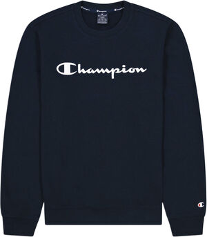 Script Logo sweatshirt