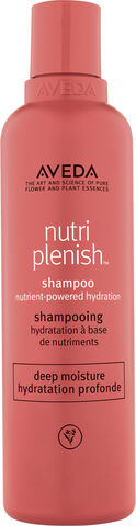 NutriPlenish Shampoo Deep Moisture 250ml