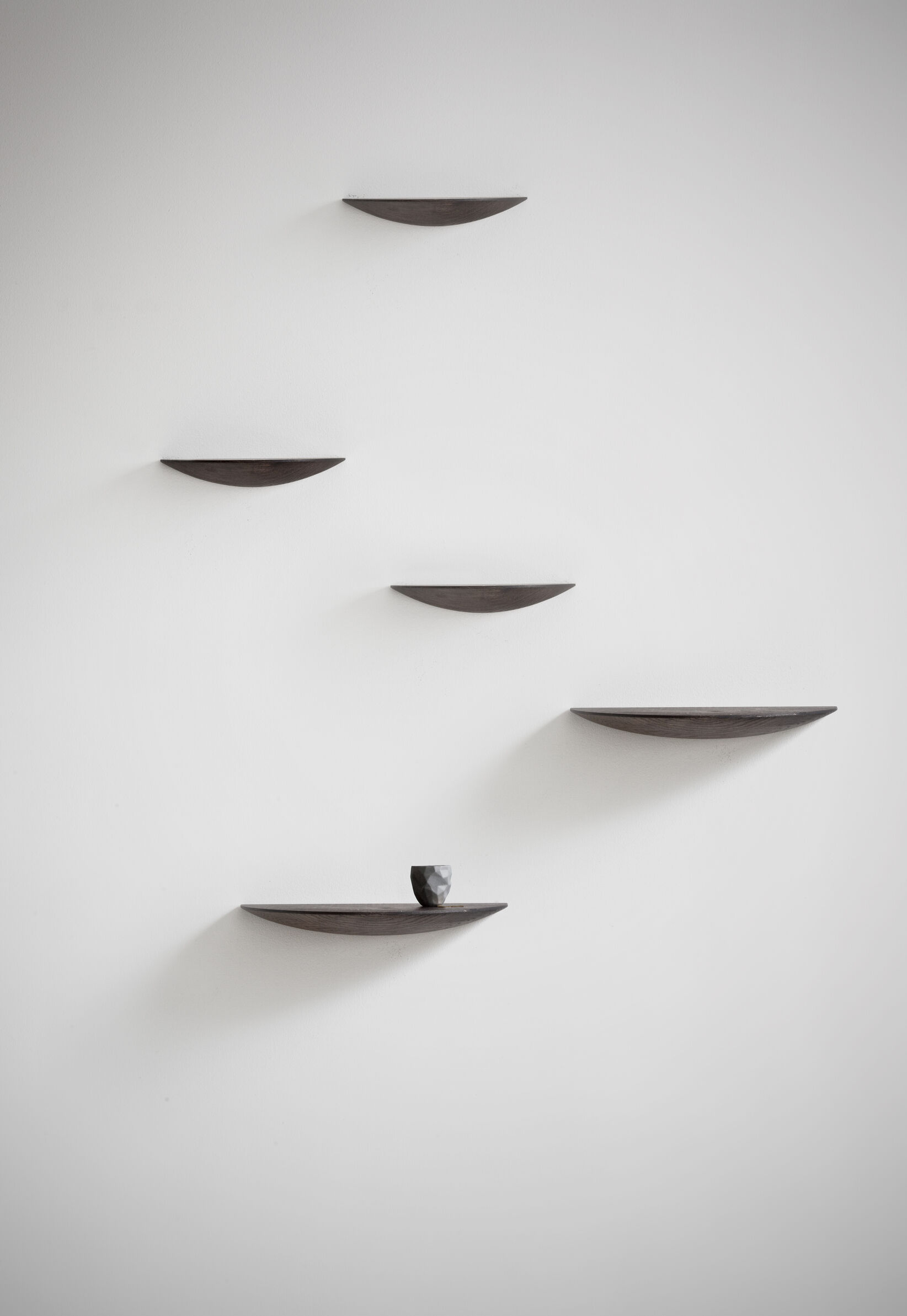 Gridy Fungi Shelf, Medium, Black Oa