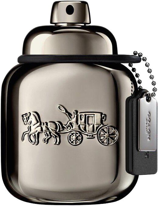 Pure Platinum Parfum