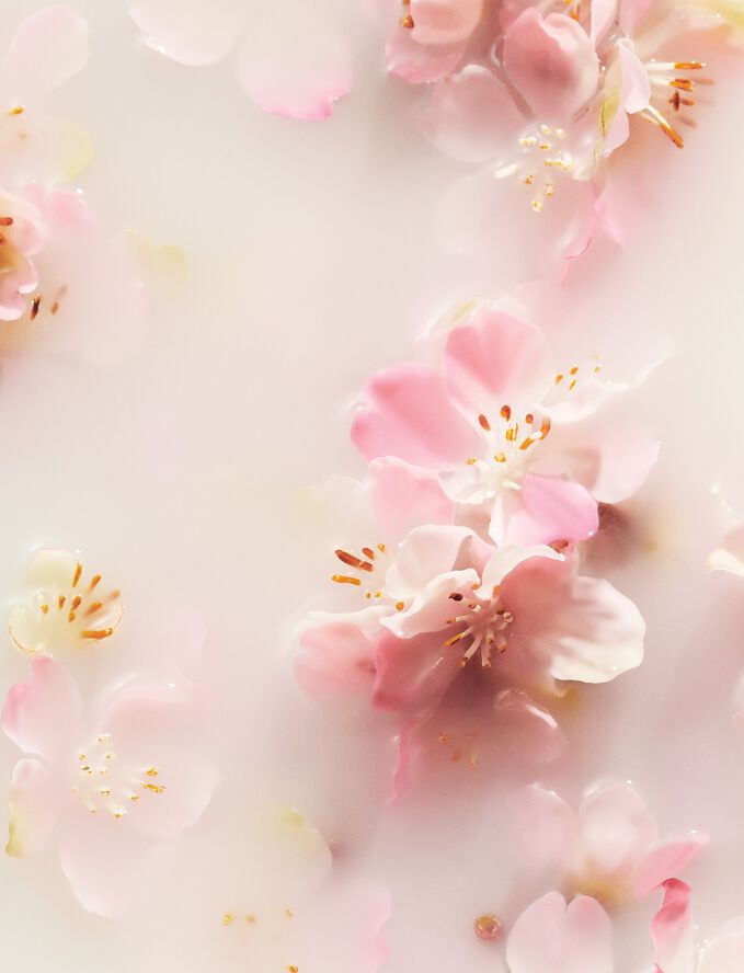 The Ritual of Sakura Home Perfume 400ml