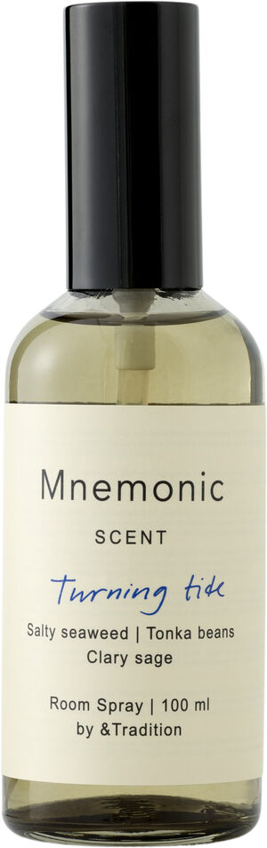 Mnemonic Room Spray MNC4, 100 ml, Turning Tide