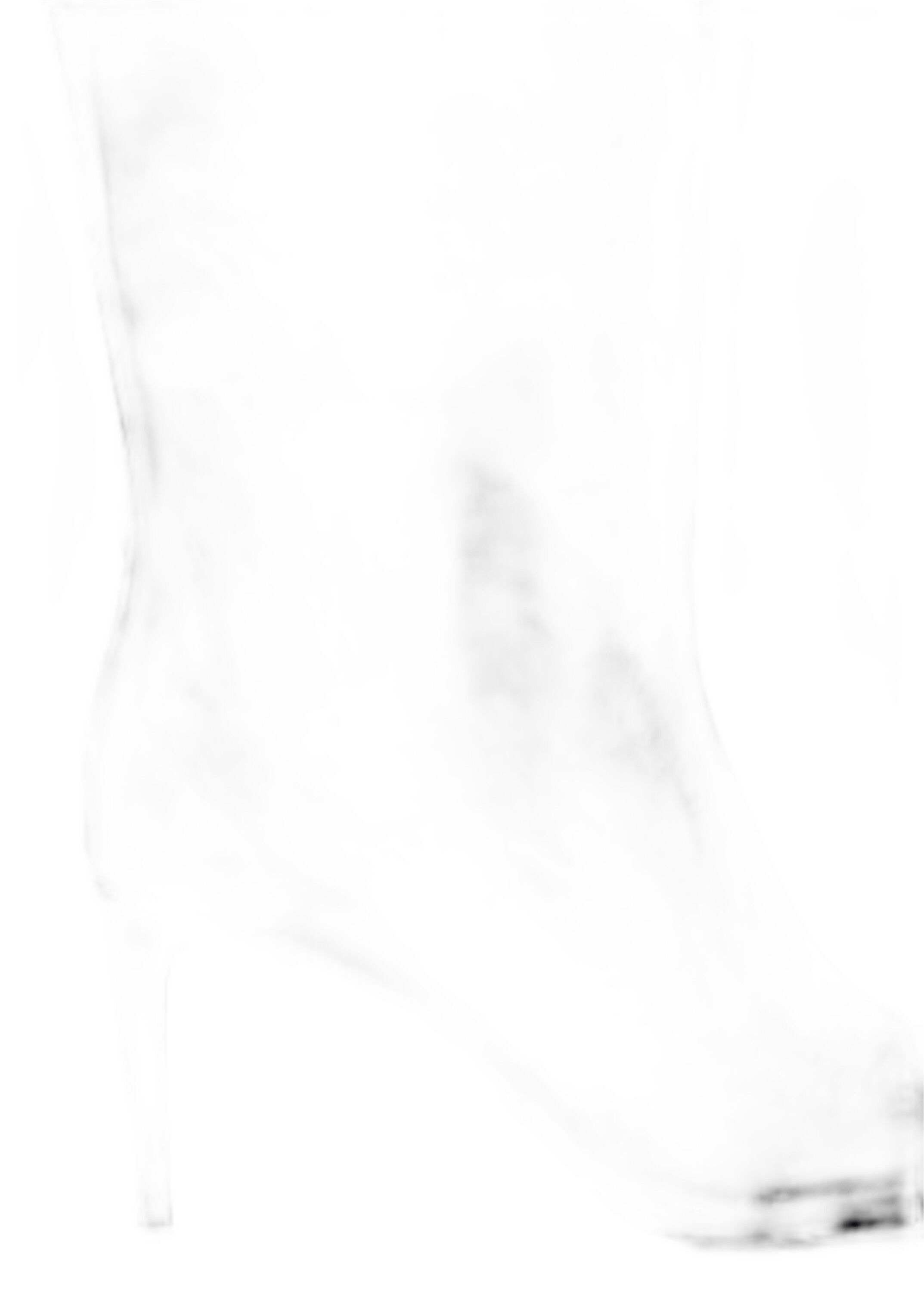 BOTA ALLEGRA
