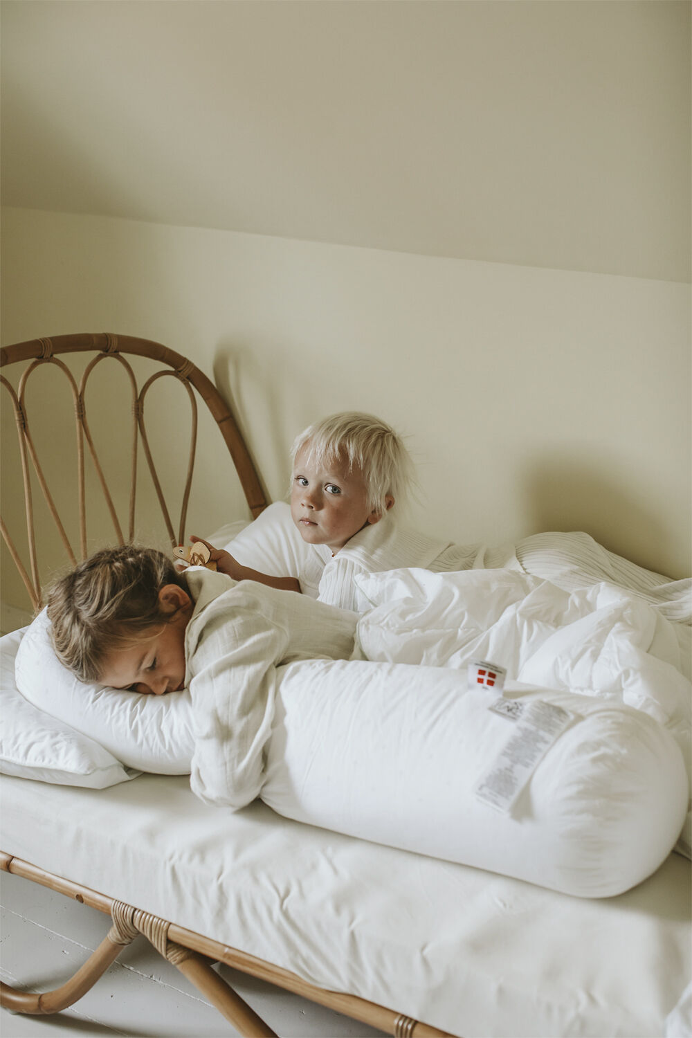 Fossflakes Comfort-I Junior inkl. cover