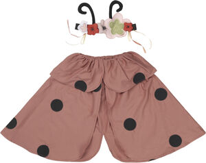 Dress-up Ladybug set