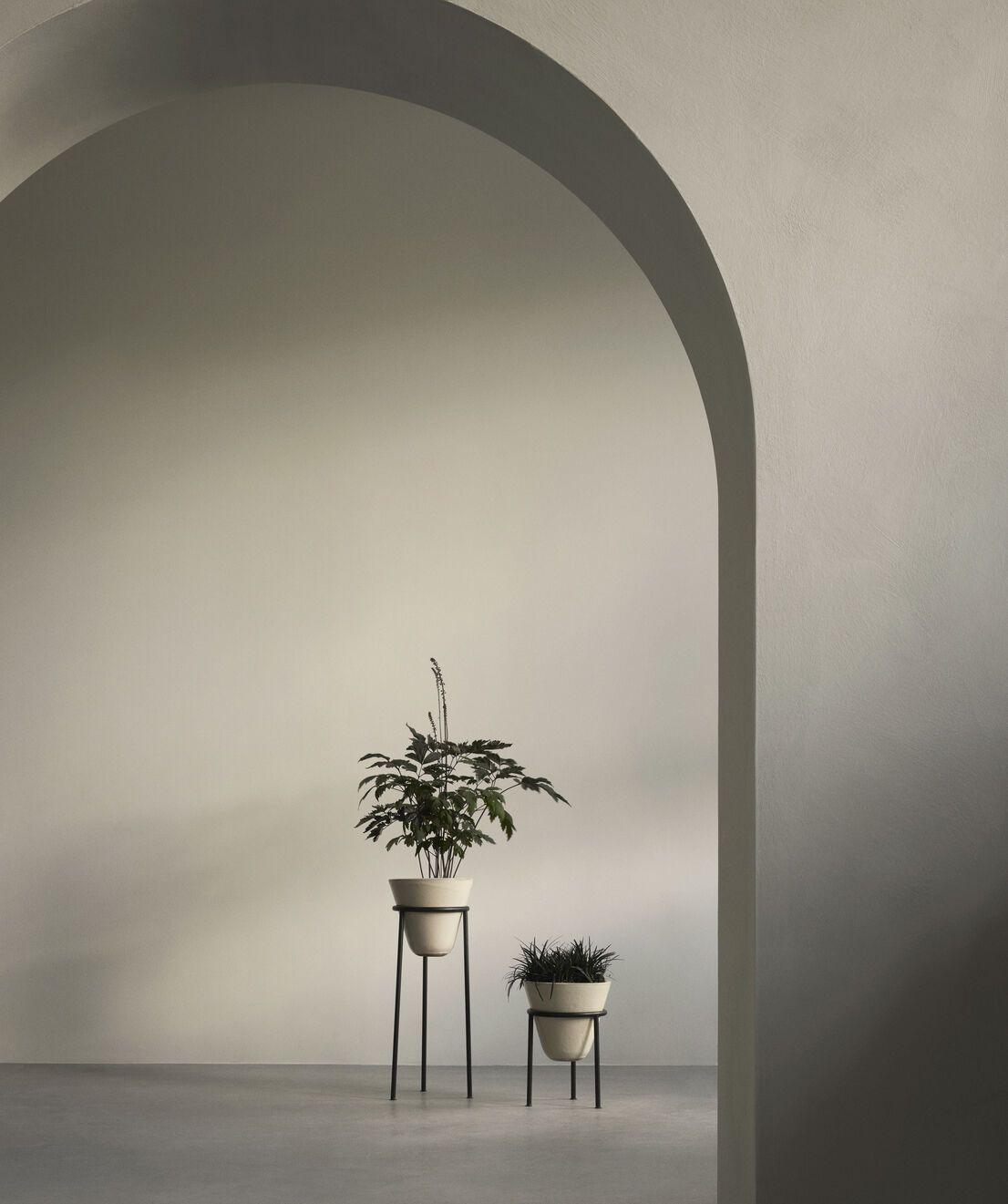 Daiza Planter, H67/&Oslash;25, Ivory