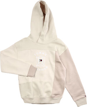 CUT PANEL ICON HOODIE