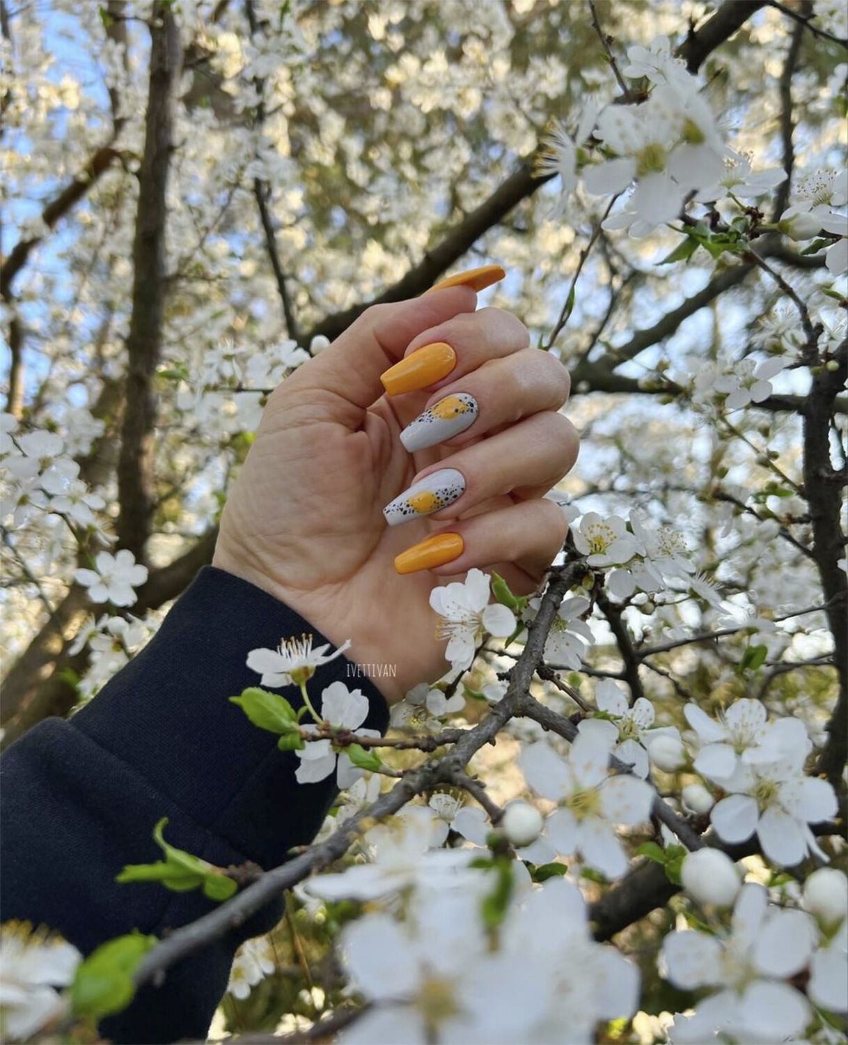 Among The Marigolds CND VINYLUX